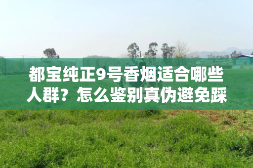 都宝纯正9号香烟适合哪些人群？怎么鉴别真伪避免踩坑？